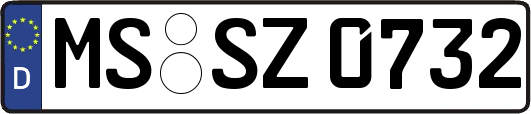MS-SZ0732