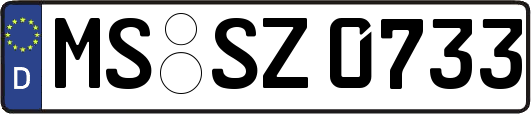MS-SZ0733