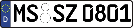 MS-SZ0801