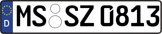 MS-SZ0813