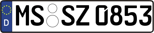 MS-SZ0853