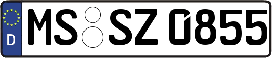 MS-SZ0855