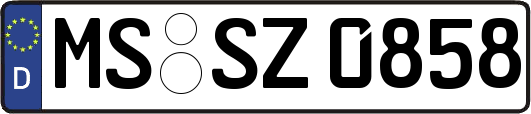 MS-SZ0858