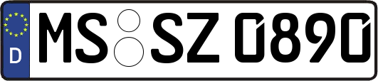MS-SZ0890