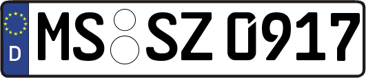 MS-SZ0917