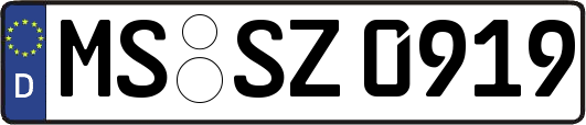 MS-SZ0919
