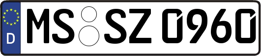 MS-SZ0960