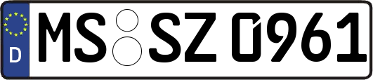 MS-SZ0961