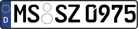 MS-SZ0975