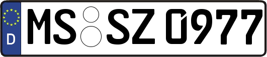 MS-SZ0977