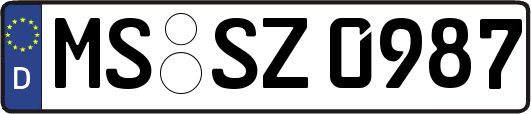 MS-SZ0987
