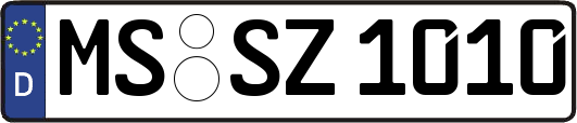 MS-SZ1010