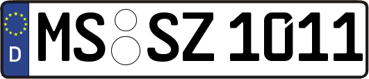 MS-SZ1011