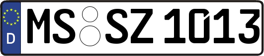 MS-SZ1013