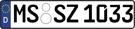 MS-SZ1033
