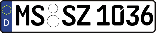MS-SZ1036
