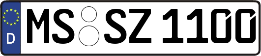 MS-SZ1100