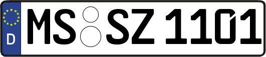MS-SZ1101
