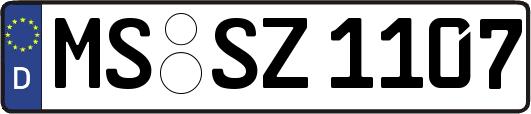 MS-SZ1107