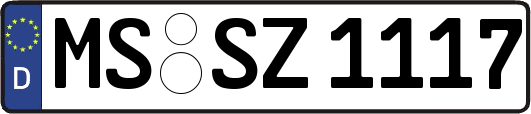 MS-SZ1117