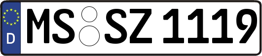 MS-SZ1119
