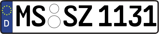 MS-SZ1131