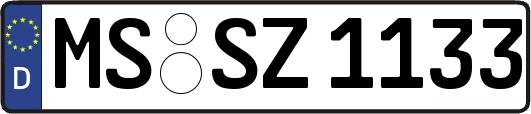MS-SZ1133