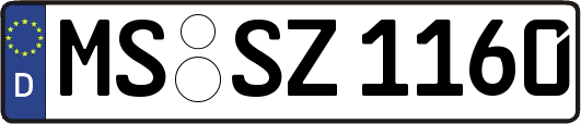 MS-SZ1160