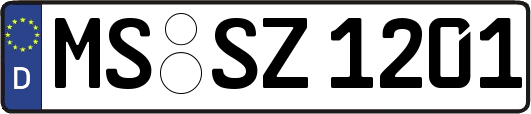 MS-SZ1201