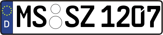 MS-SZ1207