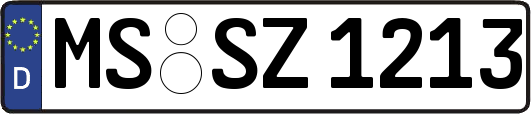 MS-SZ1213