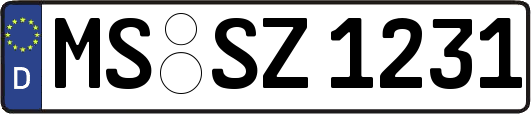 MS-SZ1231
