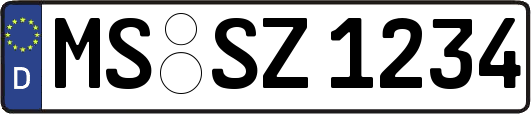 MS-SZ1234