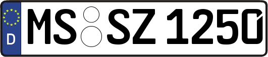 MS-SZ1250