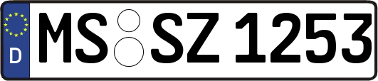 MS-SZ1253