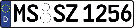 MS-SZ1256