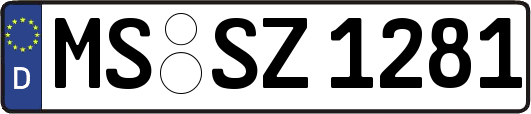 MS-SZ1281