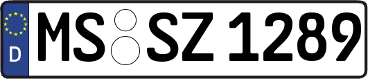 MS-SZ1289