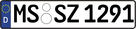 MS-SZ1291