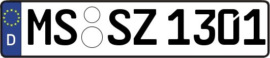 MS-SZ1301