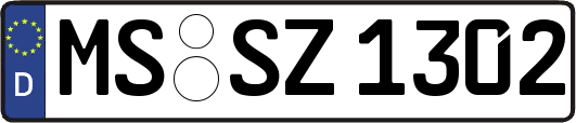 MS-SZ1302