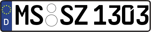 MS-SZ1303