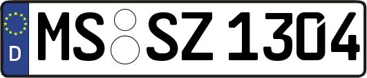 MS-SZ1304