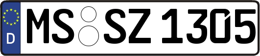 MS-SZ1305