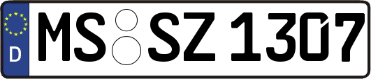 MS-SZ1307