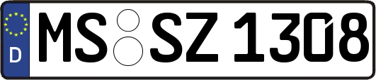 MS-SZ1308