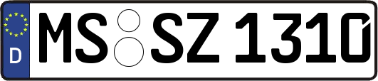 MS-SZ1310