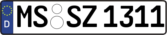 MS-SZ1311