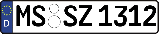 MS-SZ1312