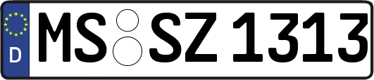 MS-SZ1313